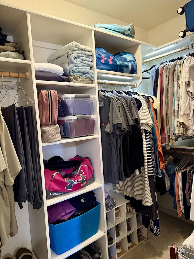 spacious closet with carpet