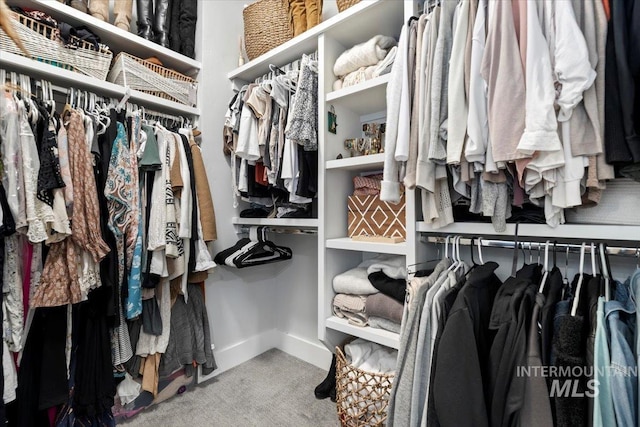 spacious closet featuring carpet floors