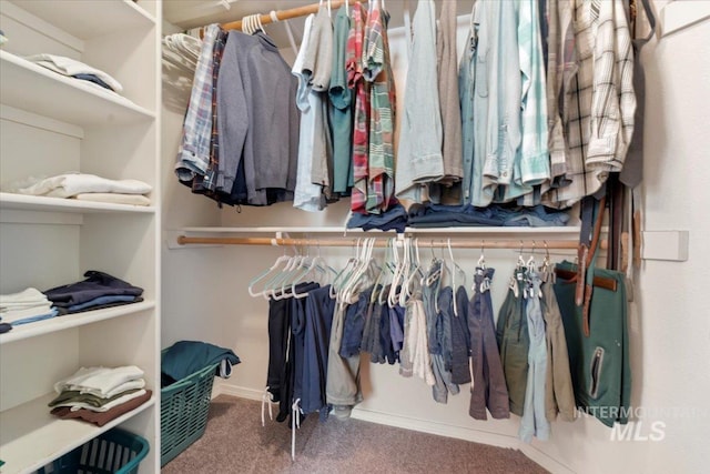 spacious closet with carpet flooring