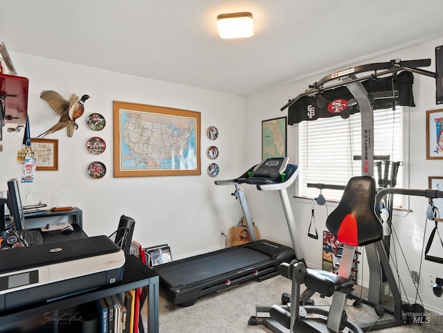 exercise room featuring carpet flooring