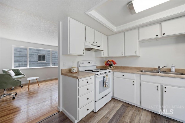kitchen featuring wood finished floors, a sink, white electric range oven, under cabinet range hood, and white cabinetry