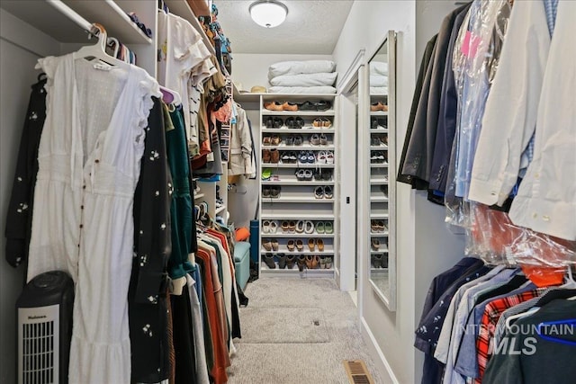 1753 S Kimball Way, Boise, ID 83709 - walk in closet featuring carpet