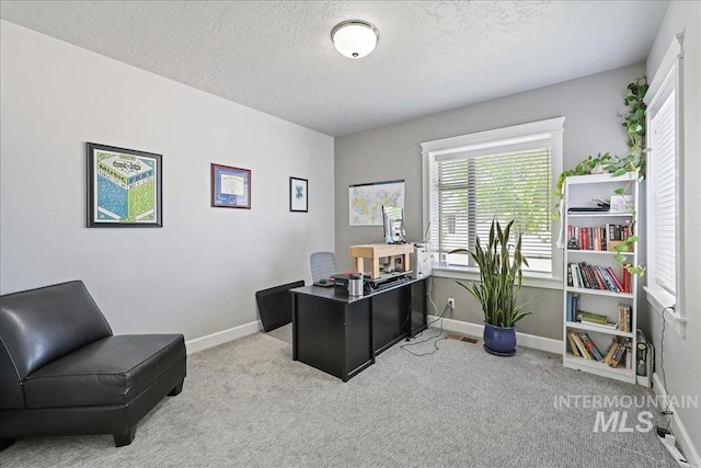 1753 S Kimball Way, Boise, ID 83709 - carpeted office space with plenty of natural light, a textured ceiling, and baseboards