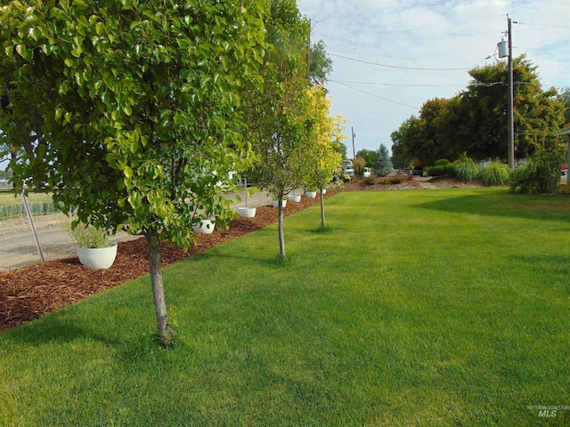983 S St, Vale, OR 97918 - view of grassy yard