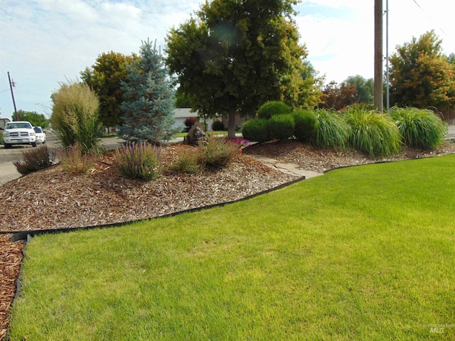 983 S St, Vale, OR 97918 - view of green lawn