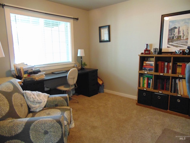 983 S St, Vale, OR 97918 - office with carpet and baseboards