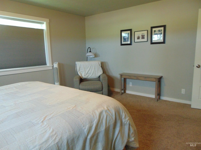 983 S St, Vale, OR 97918 - bedroom featuring carpet flooring and baseboards