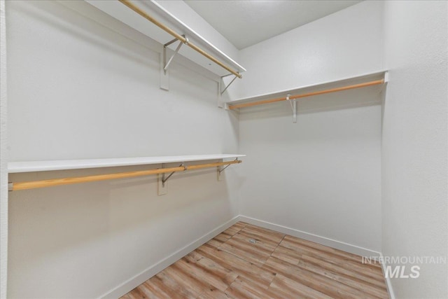 walk in closet with light wood-type flooring