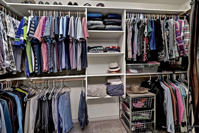 view of spacious closet