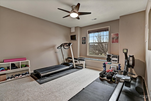 workout area featuring ceiling fan and carpet flooring