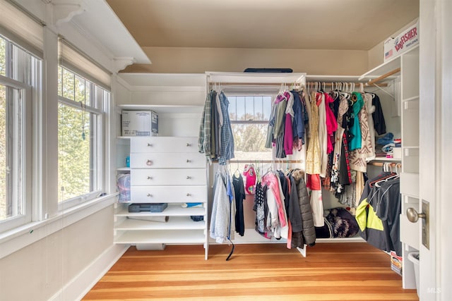 spacious closet featuring wood finished floors