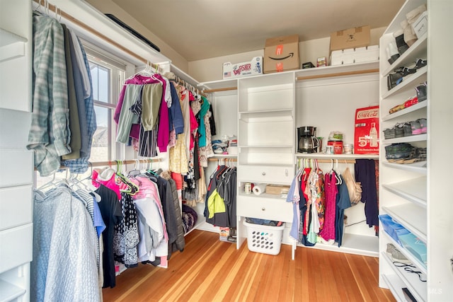 walk in closet featuring wood finished floors