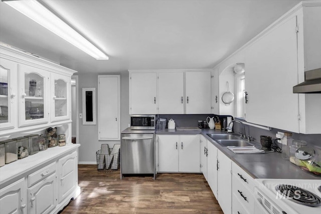 1315 E Lincoln Ave, Nampa, ID 83686 - kitchen featuring appliances with stainless steel finishes, a sink, white cabinetry, and dark wood-style floors