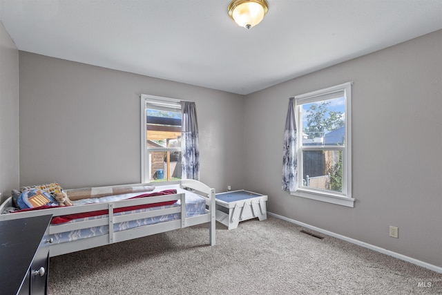 403 29th, Lewiston, ID 83501 - bedroom with multiple windows, carpet flooring, and baseboards
