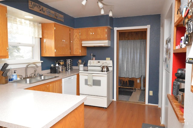 kitchen with sink, white appliances, kitchen peninsula, and hardwood / wood-style flooring