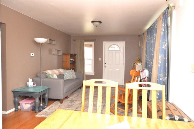 living room featuring light hardwood / wood-style flooring