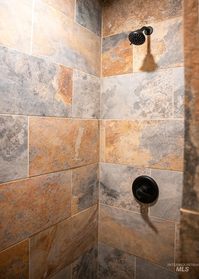 interior details with tiled shower