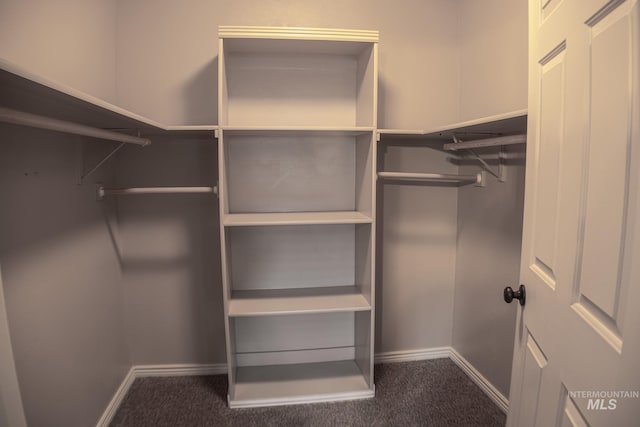 1155 Caswell Ave W, Twin Falls, ID 83301 - spacious closet with carpet floors