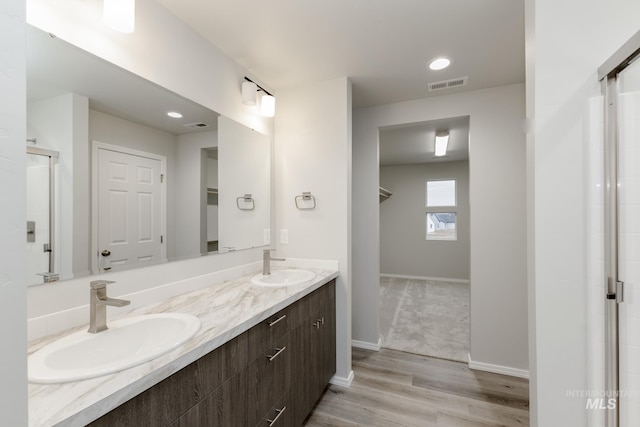 bathroom with a sink, visible vents, a walk in closet, and double vanity