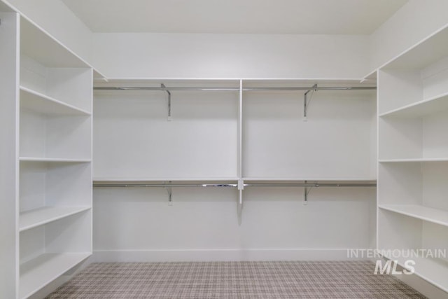 2215 Kooskia Loop, Twin Falls, ID 83301 - spacious closet with carpet