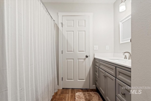 bathroom with wood finished floors and vanity