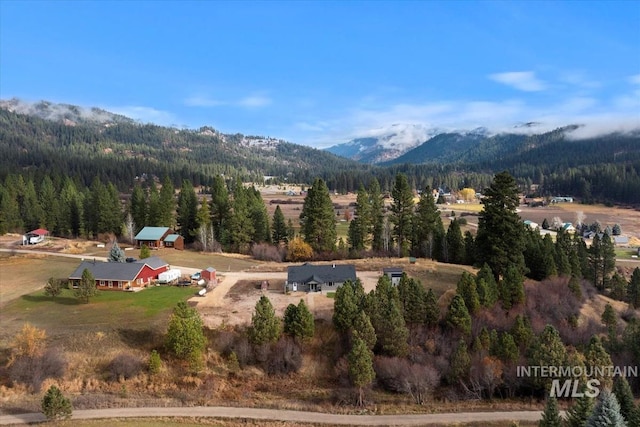 mountain view featuring a wooded view