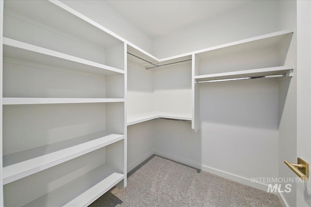 spacious closet with light carpet