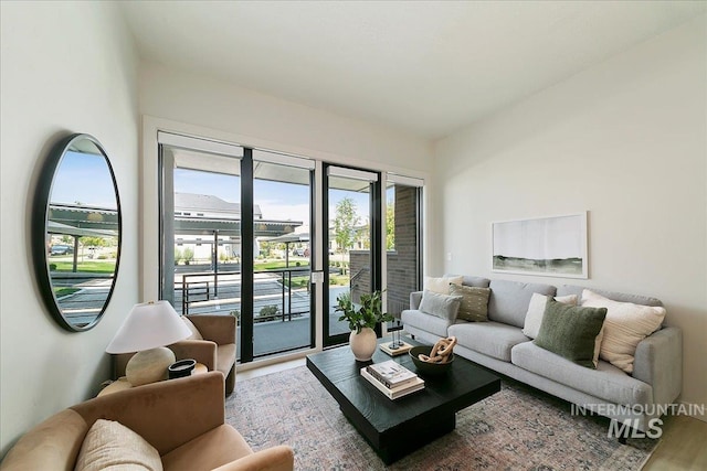 living room with wood-type flooring