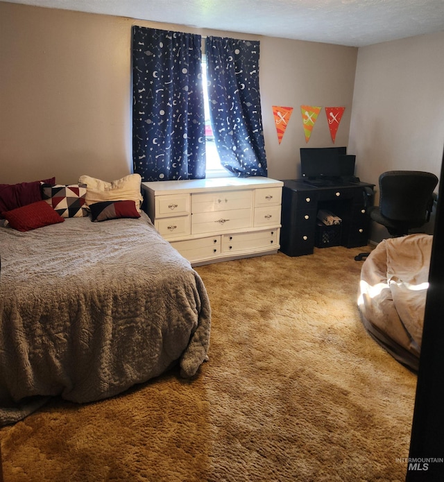 846 Wyoming St, Gooding, ID 83330 - bedroom with carpet