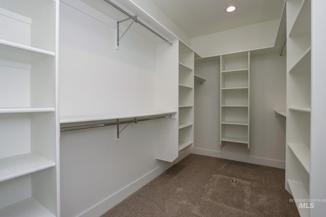 walk in closet featuring dark carpet