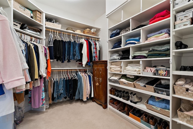 724 E Lakebrook Ln, Eagle, ID 83616 - walk in closet with carpet flooring