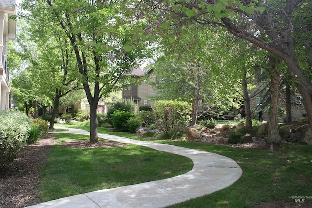 view of community with a yard