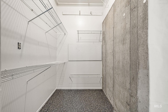 spacious closet featuring carpet floors