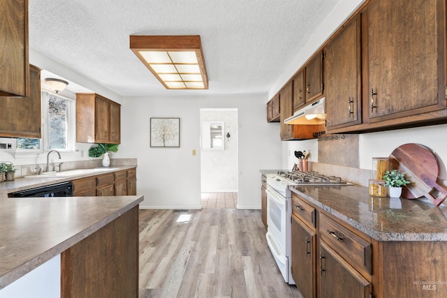 kitchen with dishwashing machine, gas range gas stove, a sink, under cabinet range hood, and light wood-type flooring