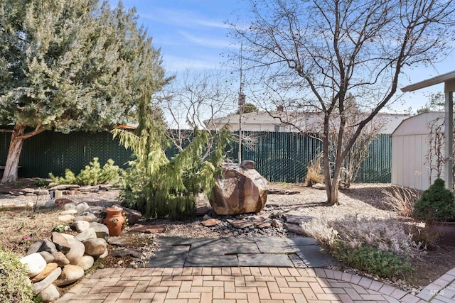 view of yard featuring a patio area, a storage unit, a fenced backyard, and an outdoor structure