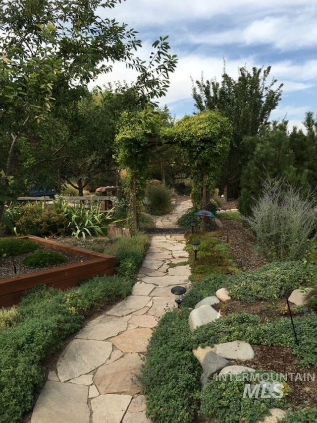 view of yard with a vegetable garden