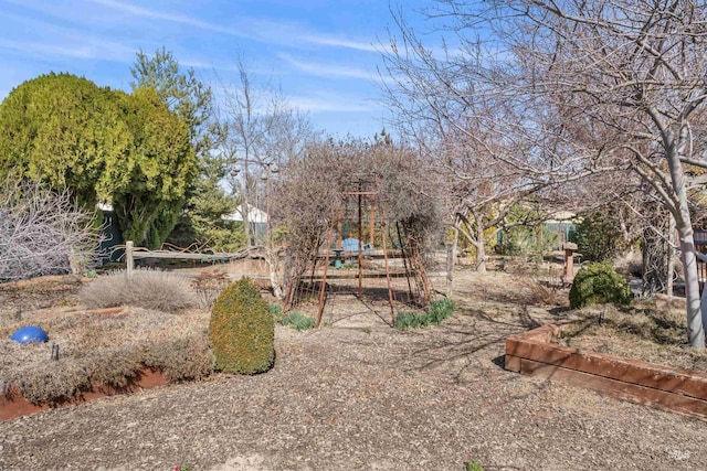 view of yard with a garden