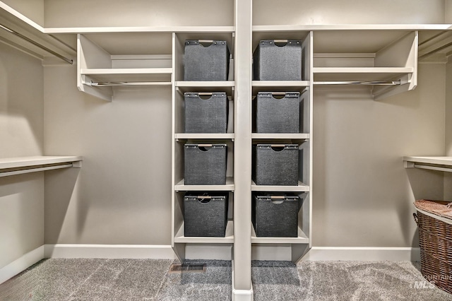 spacious closet with carpet flooring