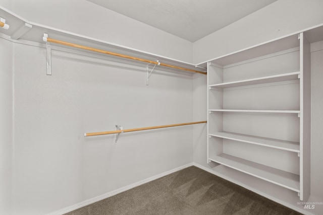 walk in closet featuring dark colored carpet