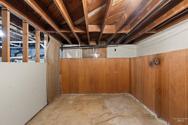 basement with wooden walls