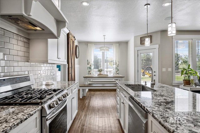 27985 Gray Sage Rd, Caldwell, ID 83607 - kitchen with stainless steel appliances, a sink, ventilation hood, dark wood-type flooring, and healthy amount of natural light
