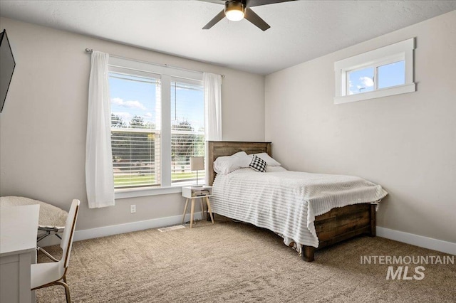 27985 Gray Sage Rd, Caldwell, ID 83607 - bedroom featuring multiple windows, baseboards, and carpet