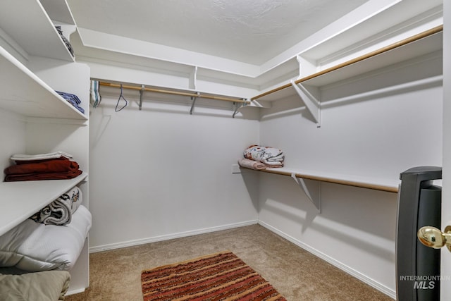walk in closet with carpet floors