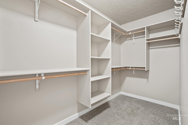 319 Magnolia Ave, Fruitland, ID 83619 - spacious closet with carpet flooring