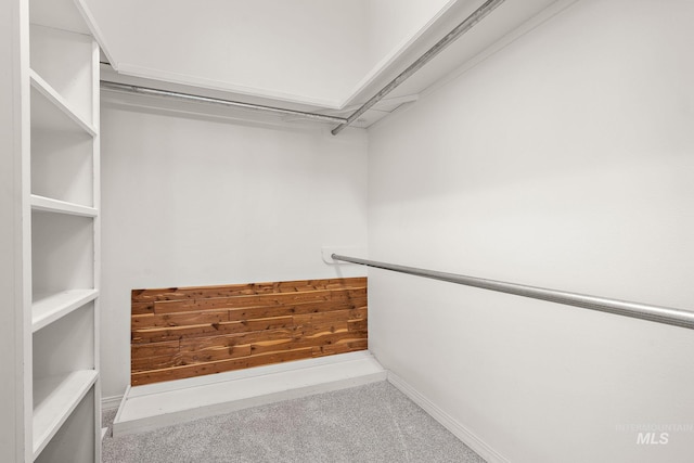 spacious closet featuring carpet