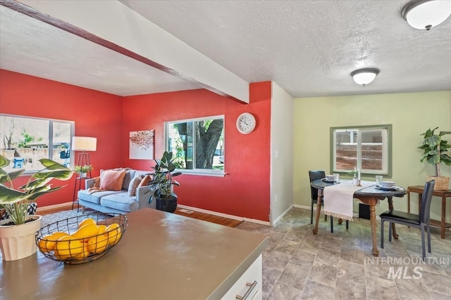 1325 E 5th N, Mountain Home, ID 83647 - dining area with baseboards, a textured ceiling, and stone finish floors