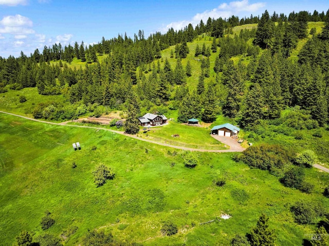 192 Short Cut Rd, White Bird, ID 83554 - view from above of property