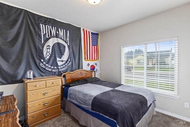 1011 Lynx, Jerome, ID 83338 - bedroom with carpet and baseboards