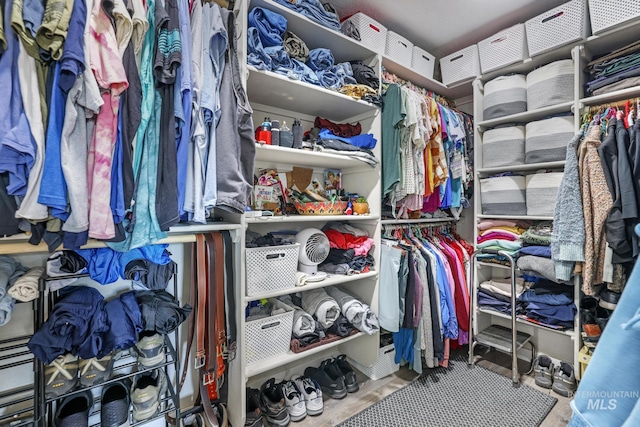 walk in closet with hardwood / wood-style floors
