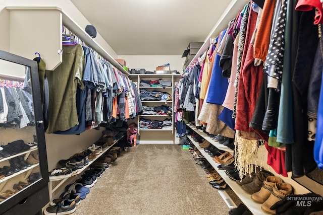 walk in closet featuring carpet floors